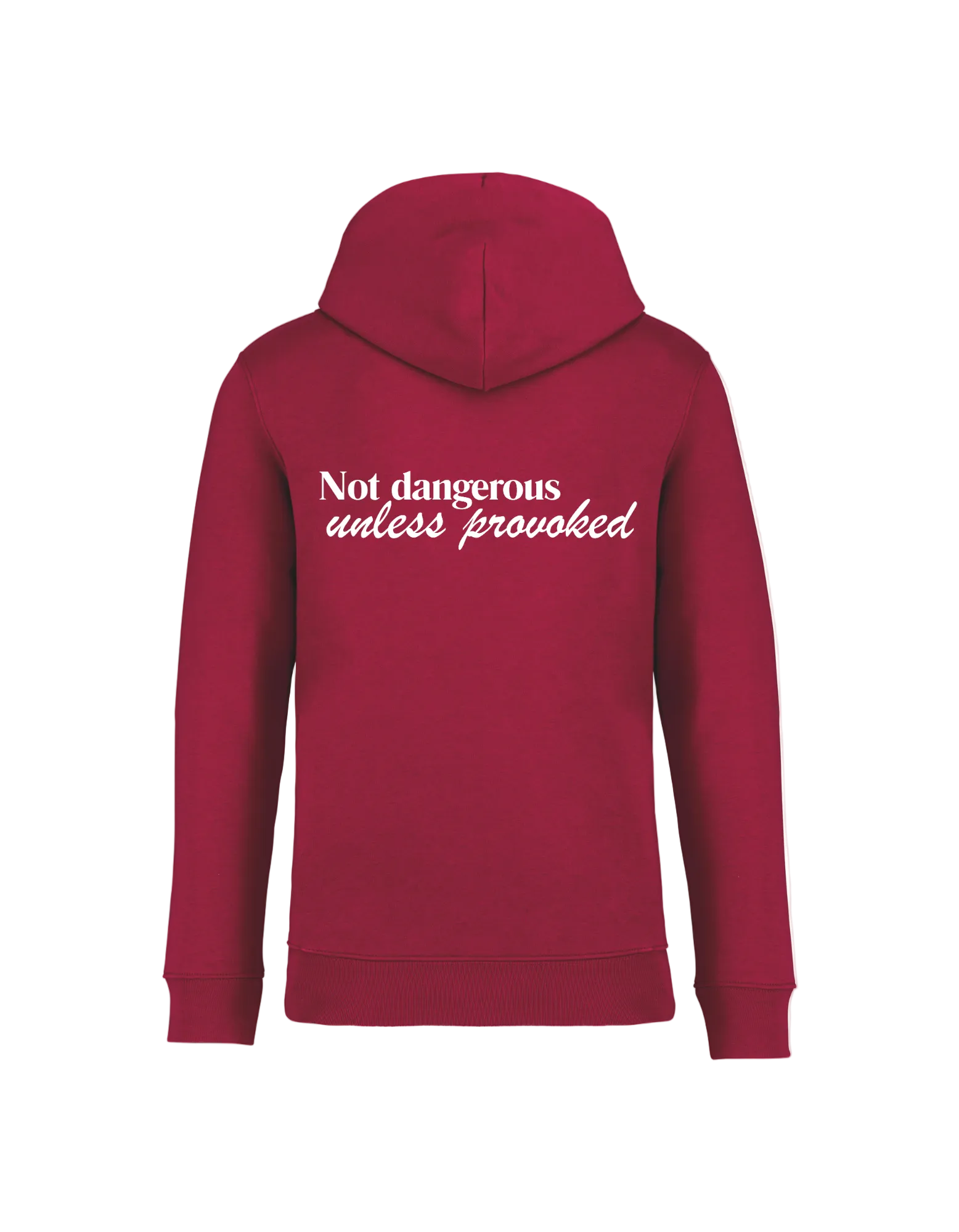 Not dangerous… unless provoked - Hoodie
