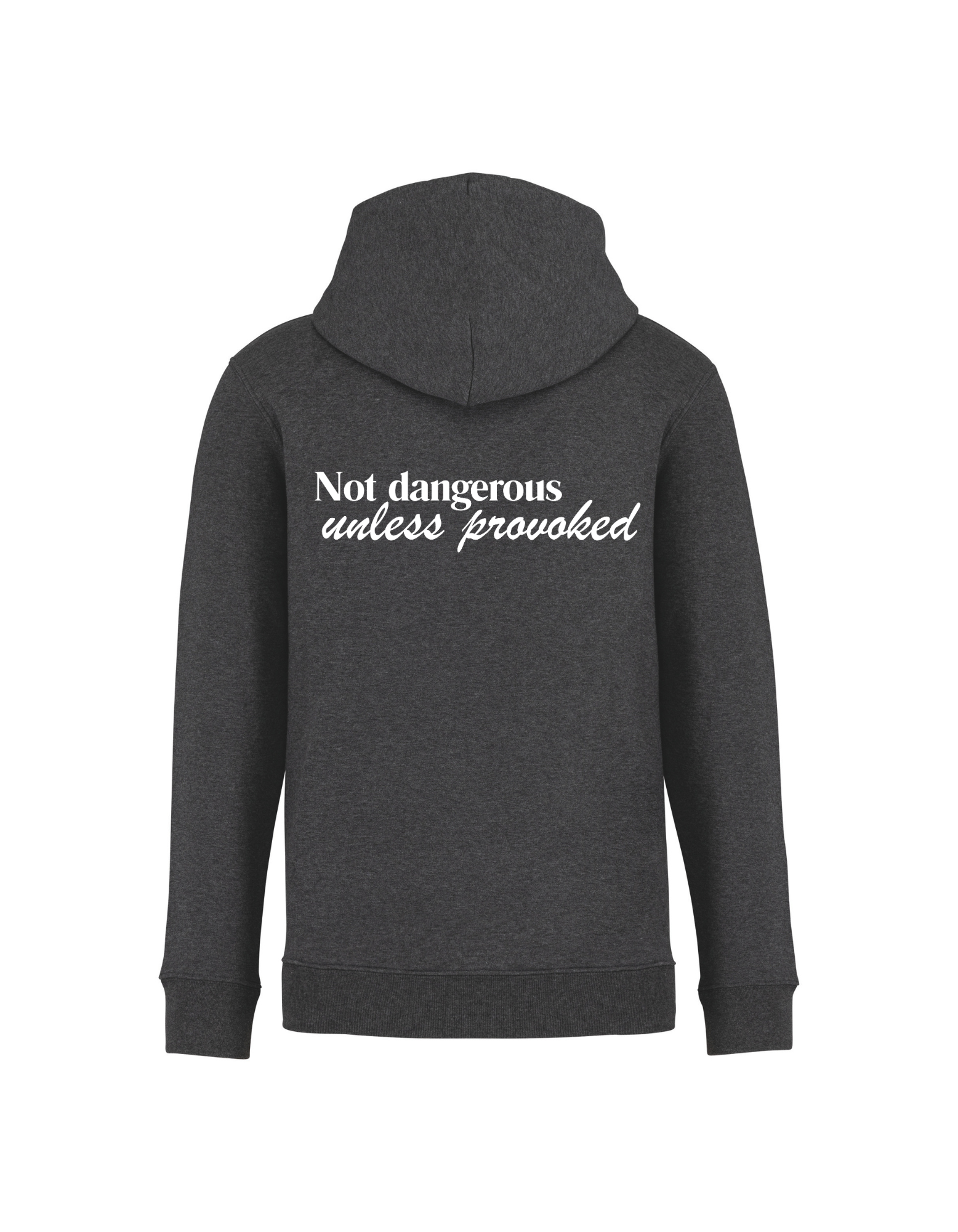 Not dangerous… unless provoked - Hoodie